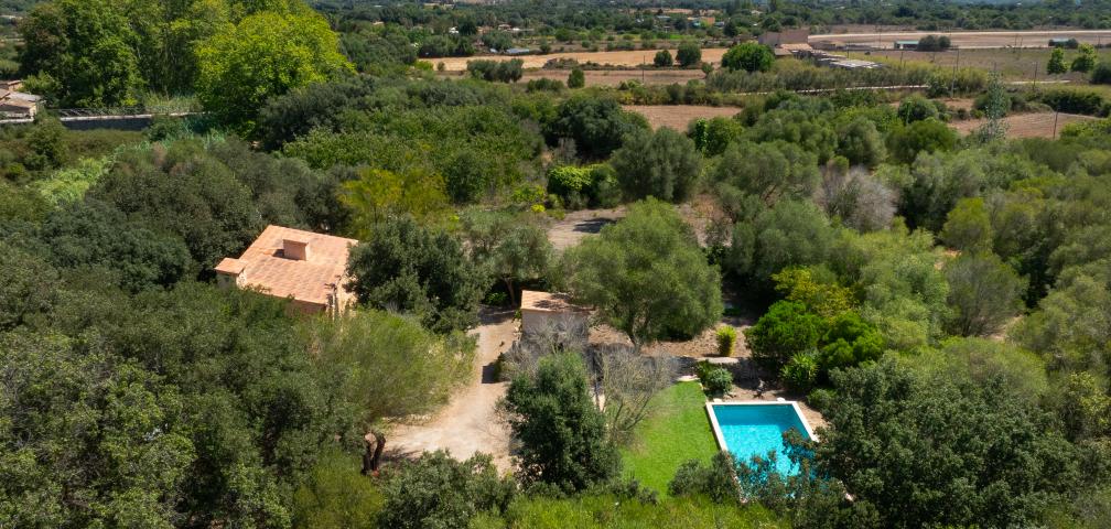 Rural Villa Son Catiu