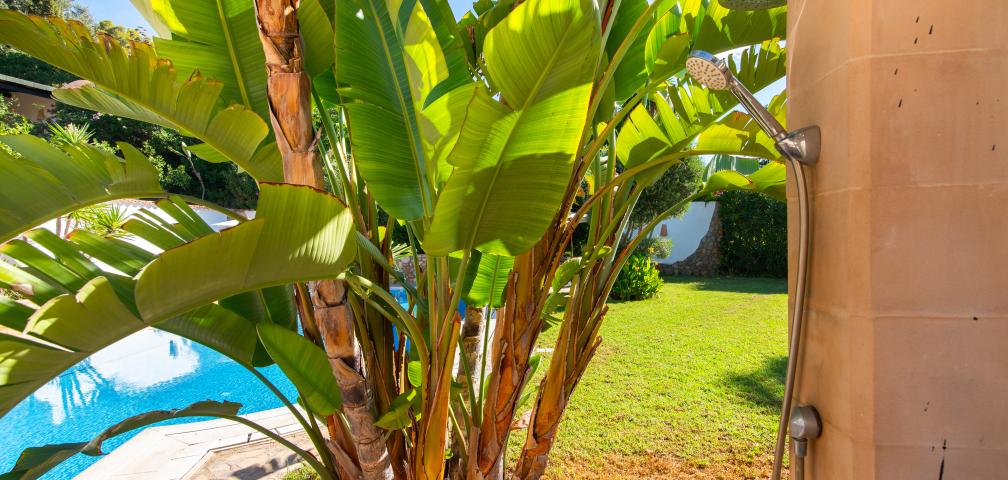 Rural Villa Villa la Vida