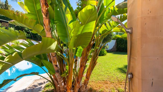 Rural Villa Villa la Vida