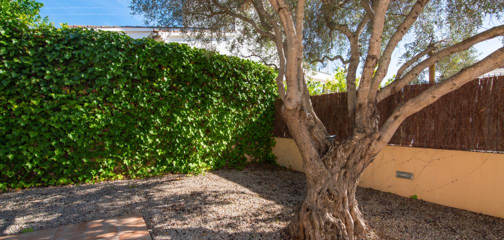 Villa Roure de Alcudia