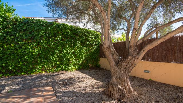 Urban Villa Roure de Alcudia