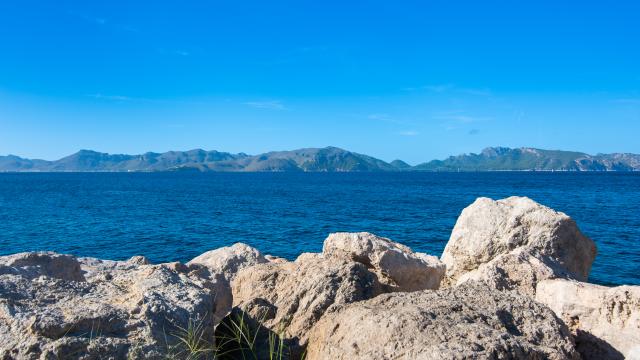 Urban Villa Roure de Alcudia