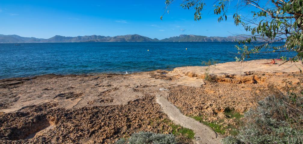 Villa Roure de Alcudia