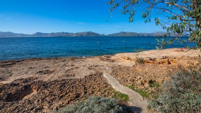 Urban Villa Roure de Alcudia