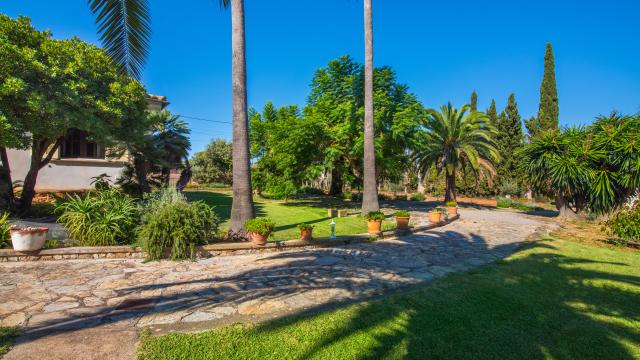 Rural Villa Cas Sineuer