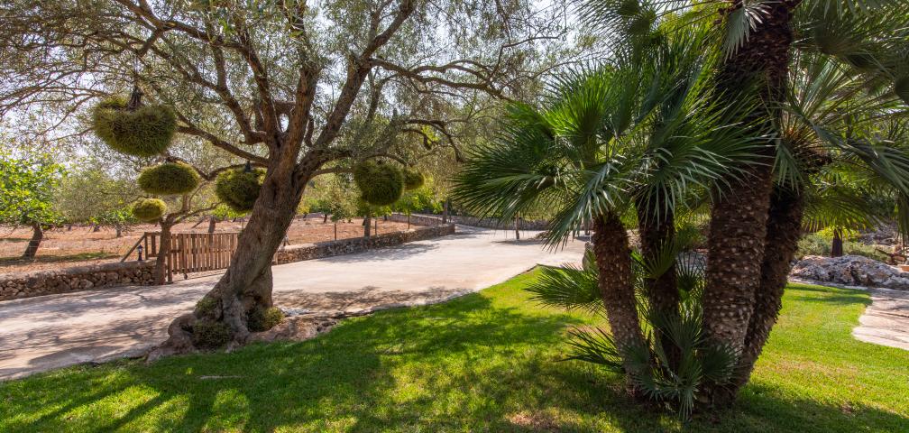 Rural Villa Sa Petita