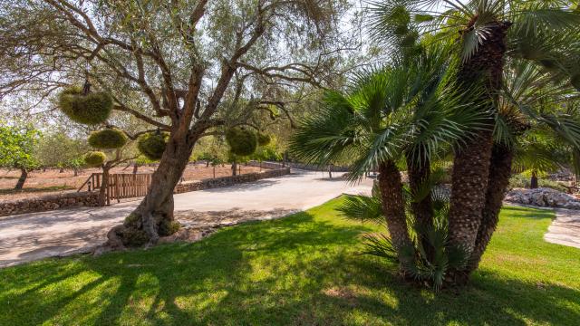 Rural Villa Sa Petita