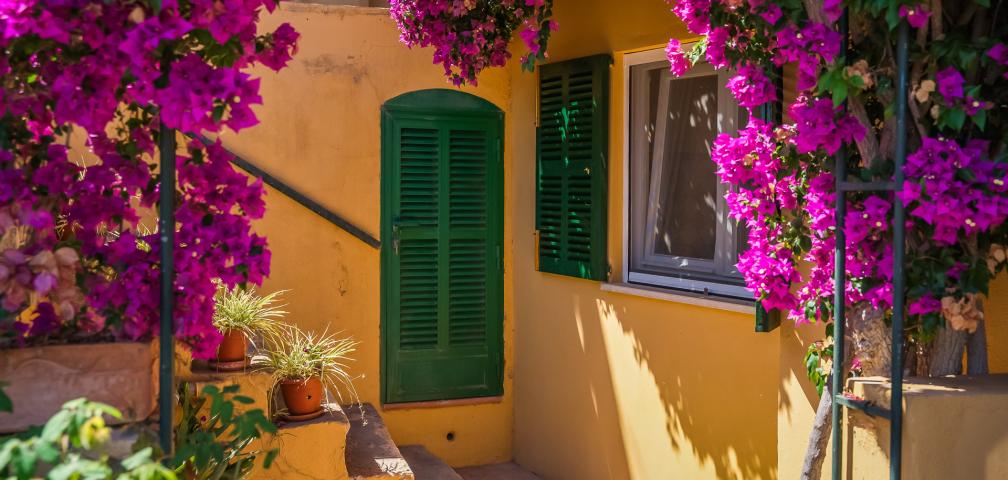 Rural Villa Sa Capella