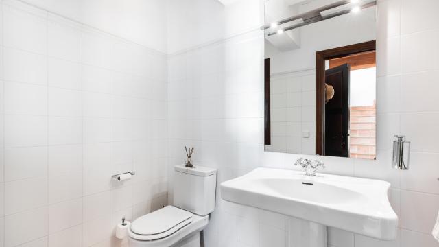 Rural Villa Son Net Petra