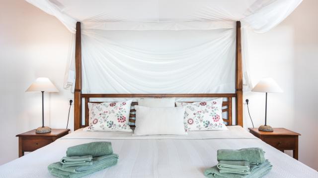 Rural Villa Son Net Petra