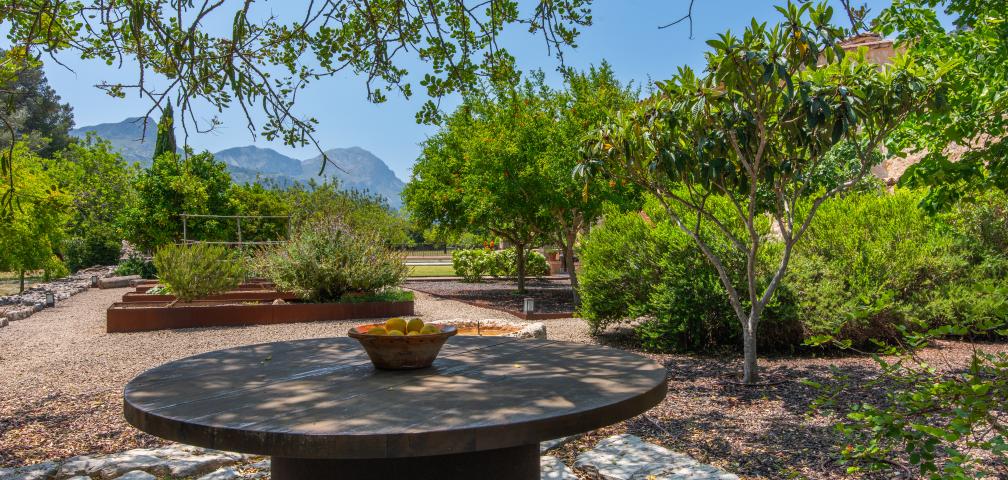 Rural Villa La Rovina