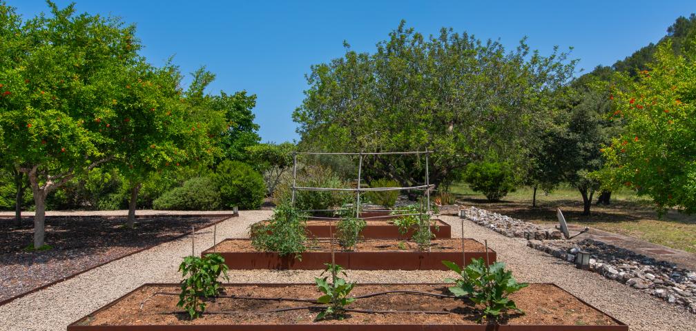 Rural Villa La Rovina