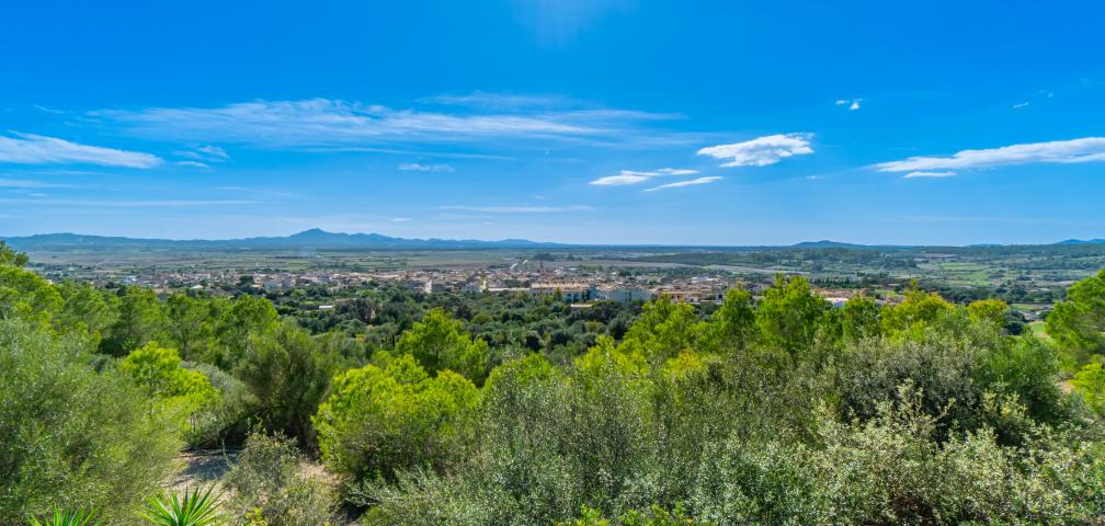 Rural Villa Son Morei