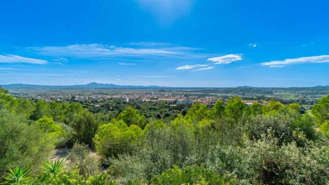 Rural Villa Son Morei