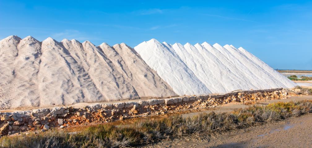 Rural Villa Es Moli Des Trenc