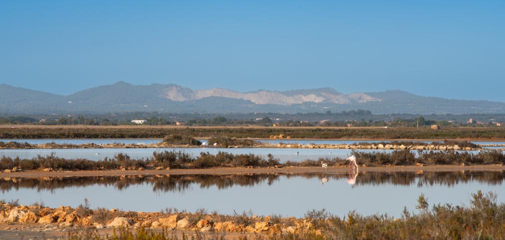 Rural Villa Es Moli Des Trenc