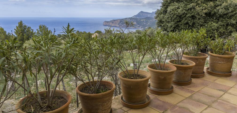 Rural Villa Sa Galera