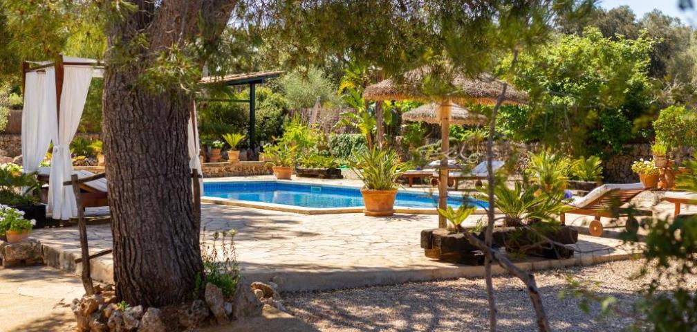 Rural Villa Son Mulet