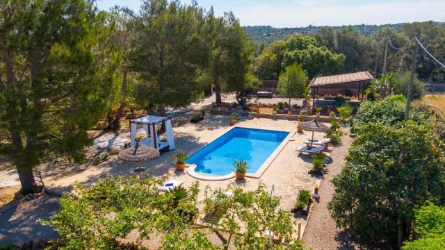 Rural Villa Son Mulet