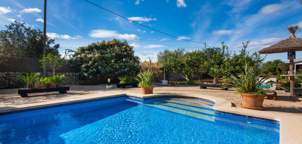 Rural Villa Son Mulet