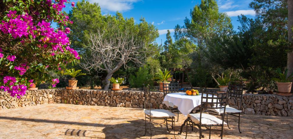 Rural Villa Son Mulet