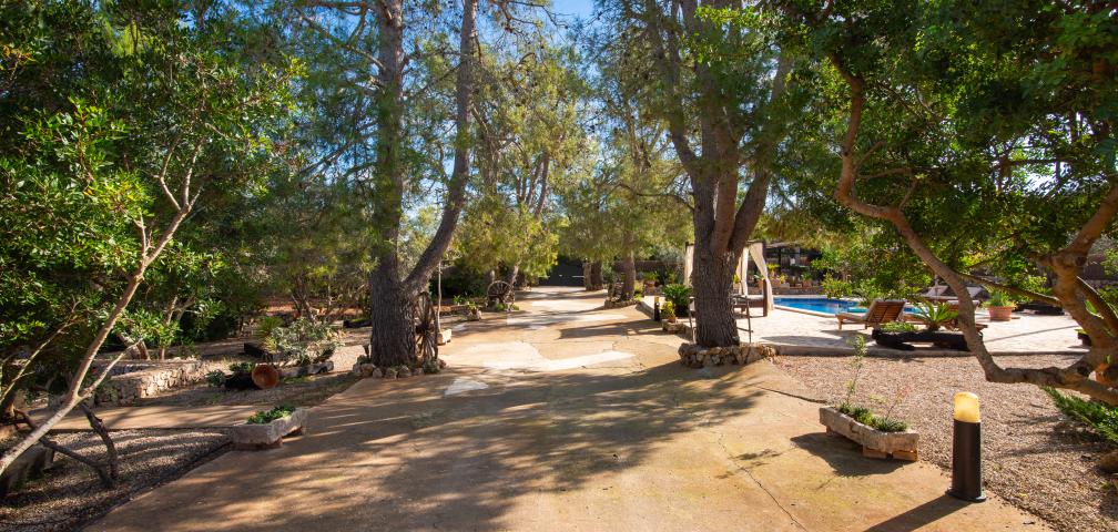 Rural Villa Son Mulet