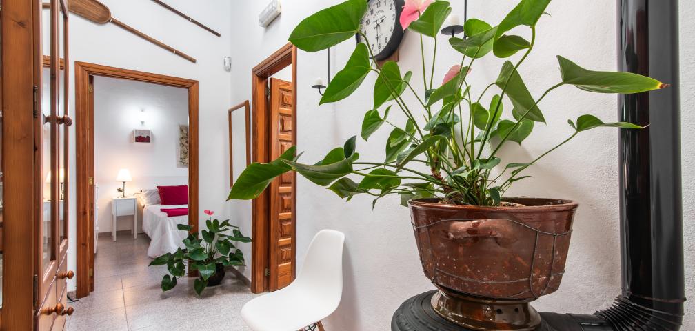 Rural Villa Son Mulet