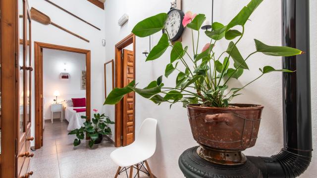 Rural Villa Son Mulet