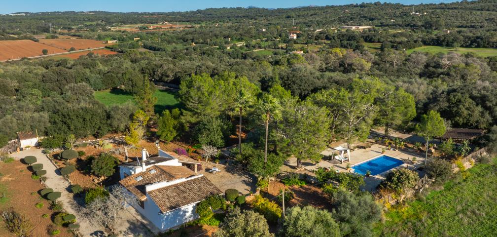 Rural Villa Son Mulet