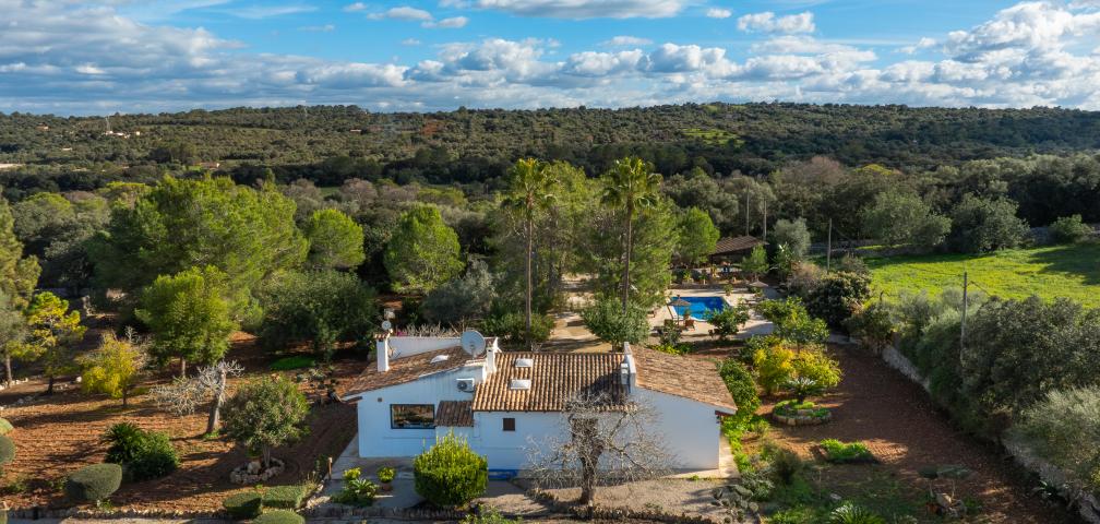 Rural Villa Son Mulet