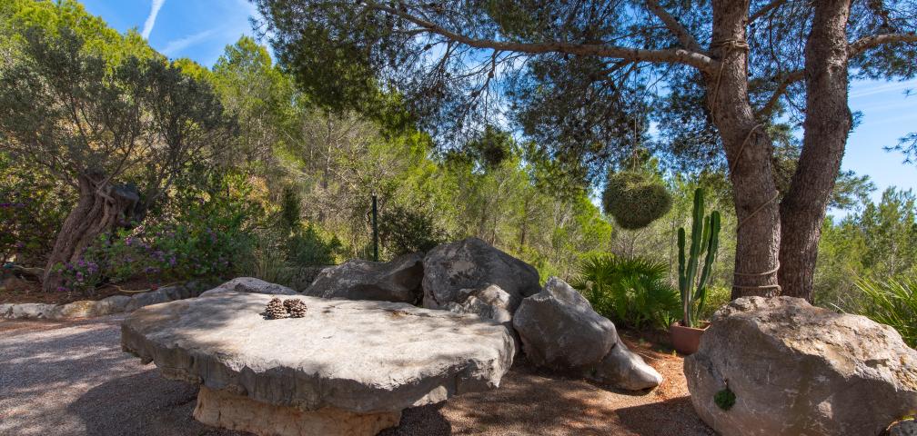 Rural Villa El Ciprés