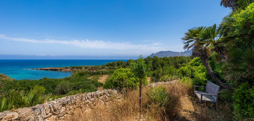 Rural Villa Ses Figueres