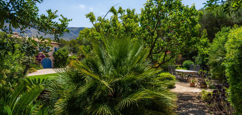Rural Villa Ses Figueres