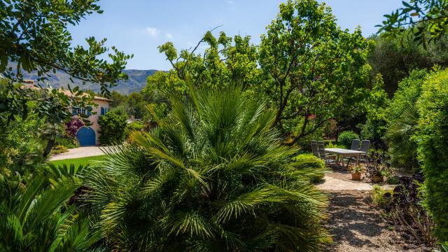 Rural Villa Ses Figueres