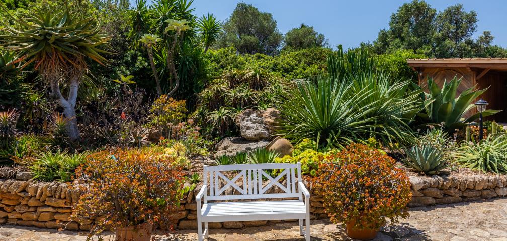 Rural Villa Ses Figueres