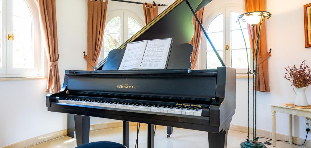 Rural Villa Ses Figueres