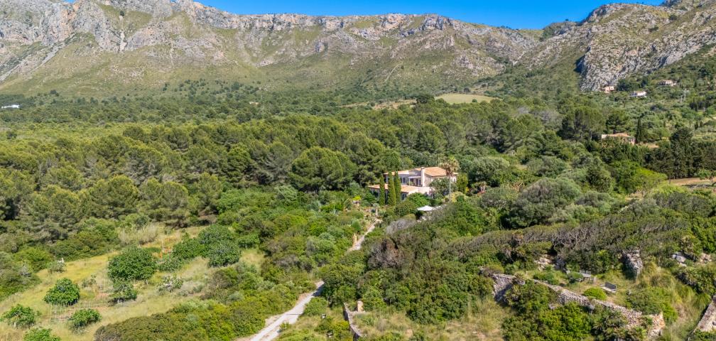 Rural Villa Ses Figueres
