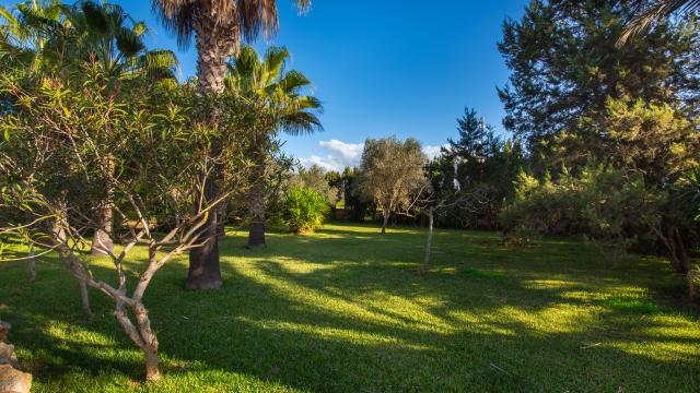 Finca Es Revolt de Sa Barrala