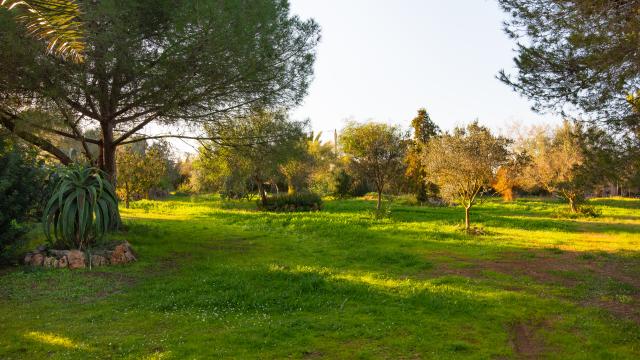 Finca Es Revolt de Sa Barrala