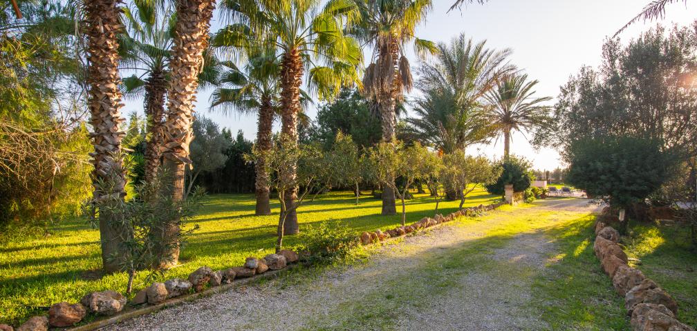 Finca Es Revolt de Sa Barrala