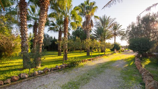 Finca Es Revolt de Sa Barrala