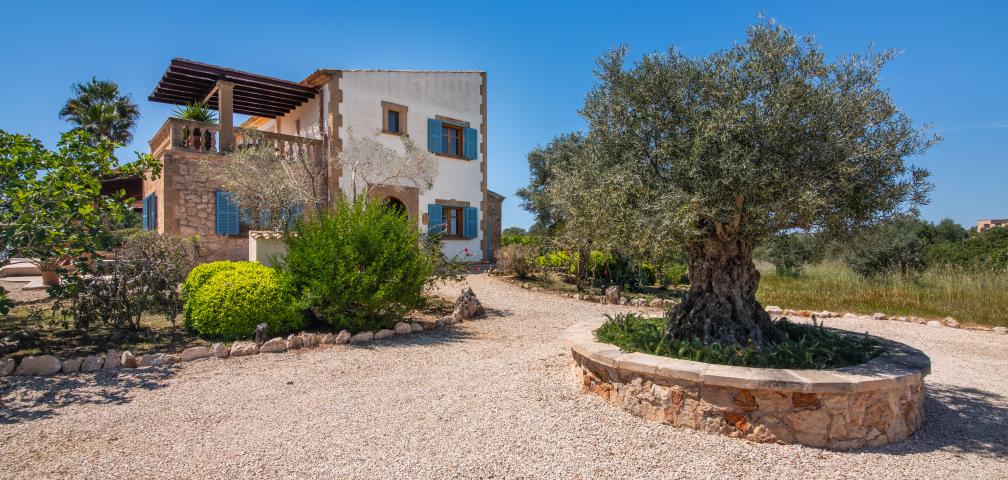 Rural Villa Sila