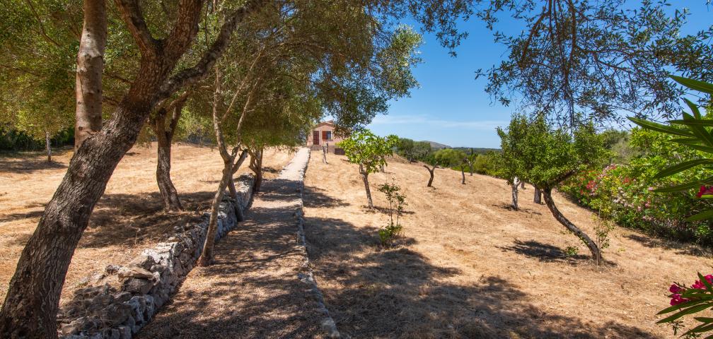 Rural Villa Estrella De Sestelrica