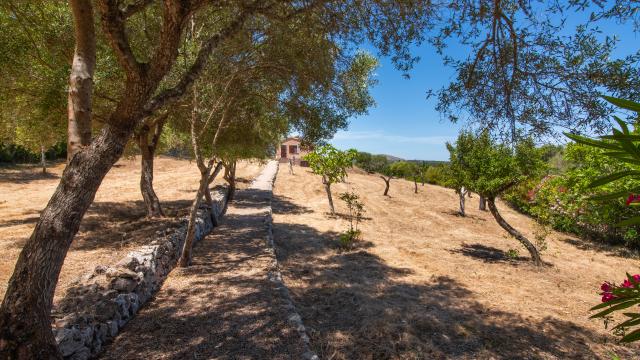 Rural Villa Estrella De Sestelrica
