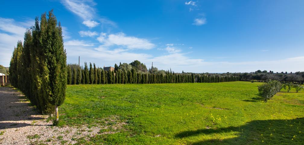 Finca Can Crespinetlo Nou