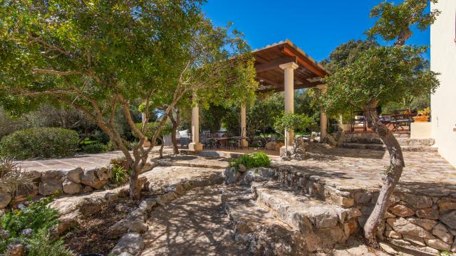 Rural Villa Sa Carbona Nou