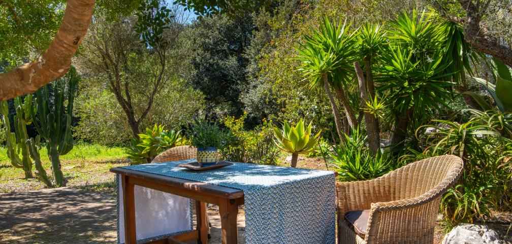 Rural Villa Sa Carbona Nou