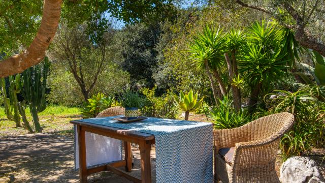 Rural Villa Sa Carbona Nou