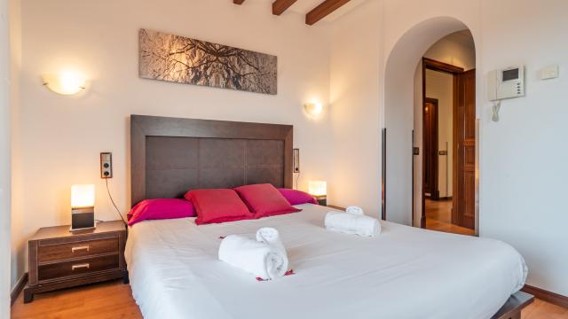 Rural Villa Ses Oliveres de Sa Canova