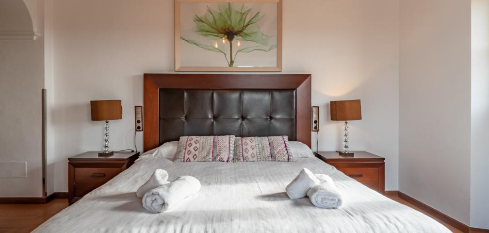 Rural Villa Ses Oliveres de Sa Canova